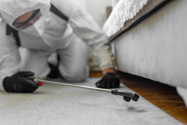 Professional Termite Control technician working in Preston, MN
