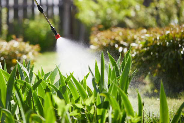 24/7 Emergency Termite Control experts in Preston, MN