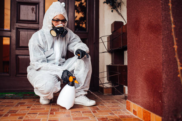 Reliable Termite Control contractor in Preston, MN by Nex Pest Control